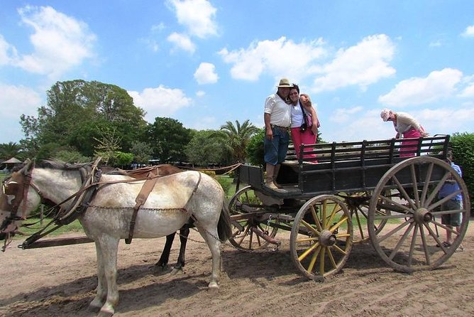 Gaucho Day Tour Santa Susana Estancia From Buenos Aires - Fascinating Guided Tour Insights