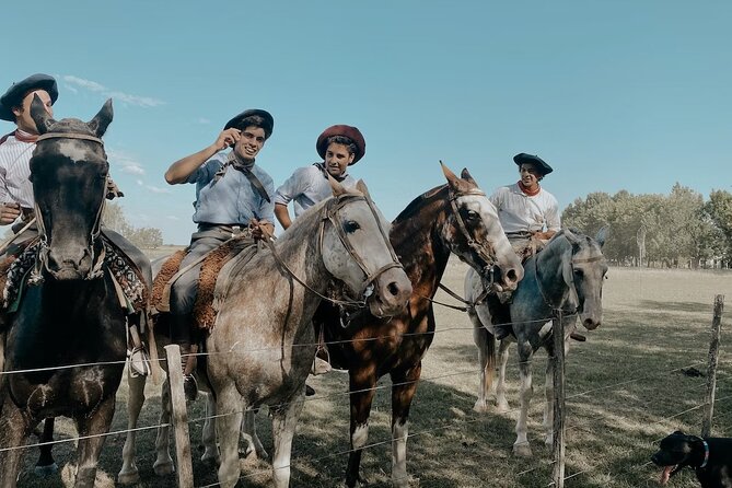 Gaucho Experience: A Day Trip to Don Silvano Ranch - Activities and Itinerary