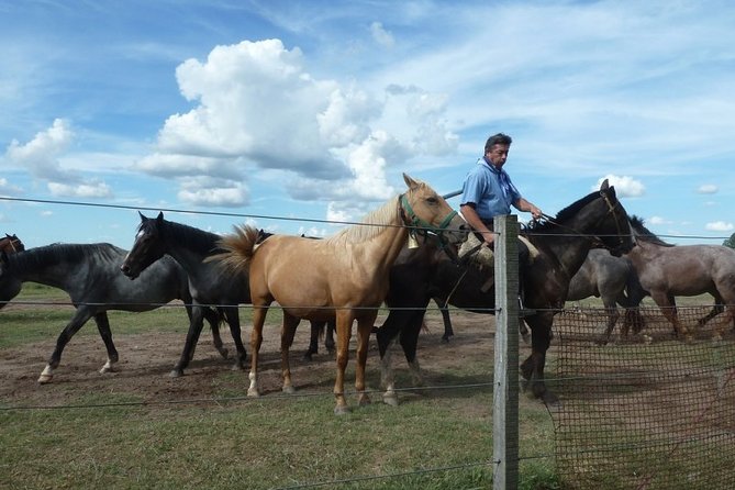 Gaucho Festival at the Ranch - Day Gaucho Barbecue - Pricing and Cancellation