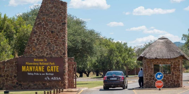 Gauteng: Private Guided Tour With Driver - Recommendations for Participants