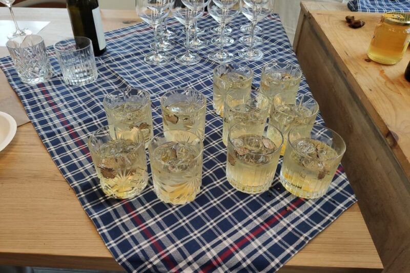 Gavi: Vineyard Tour With Truffle and Wine Tasting - Highlights of the Experience
