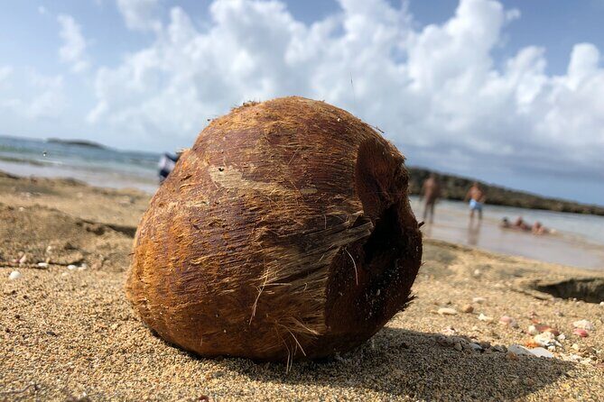 Gay Beach Adventure Queer Friendly Getaway in Puerto Rico Tour - Authenticity and Unique Touches