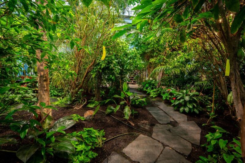 Gdańsk: Live Romantic Music and Oriental Food in the Tropics - Accessibility and Restrictions
