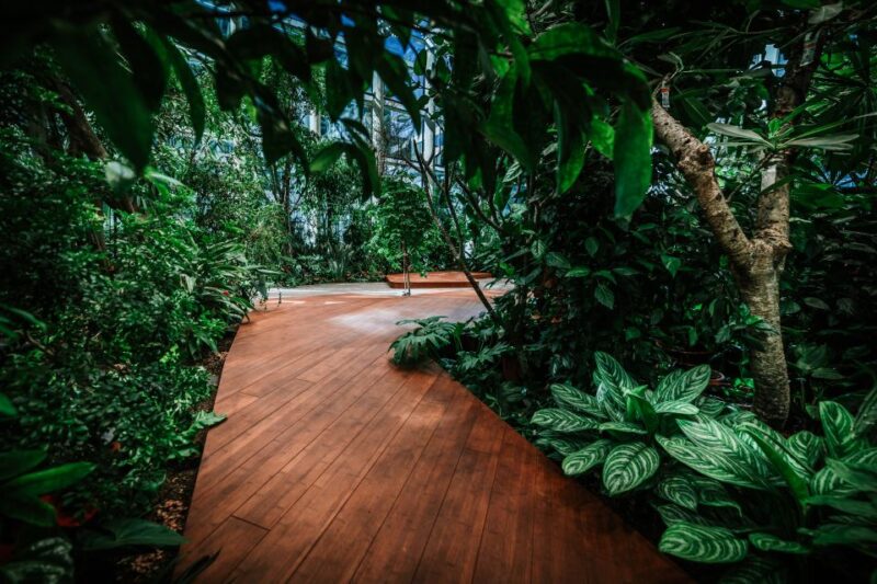Gdańsk: Olivia Star Panoramic Views and Olivia Garden Tour - Key Points