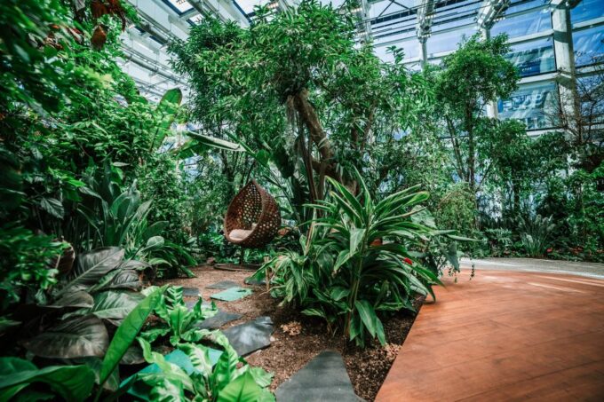Gdańsk: Olivia Star Panoramic Views and Olivia Garden Tour - Frequently Asked Questions