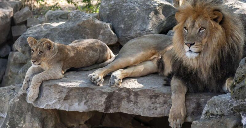 Gdansk: Oliwa Zoo With Tickets and Roundtrip Transportation - Exploring Oliwa Zoo