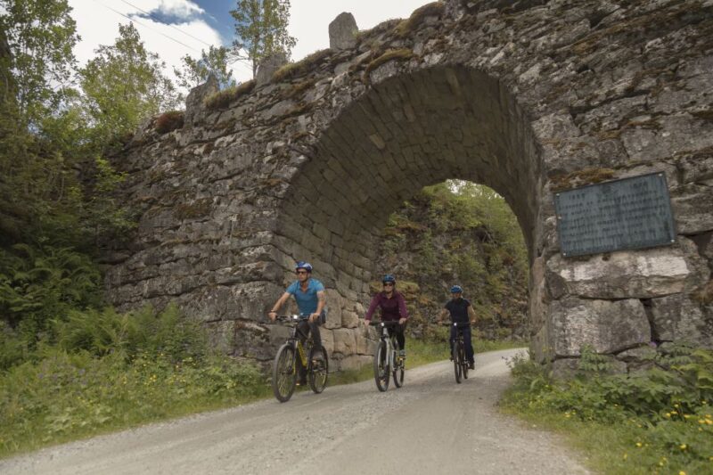 Geiranger Fjord: Downhill Self-Guided Bike Tour - Instructor Language and Cancellation Policy