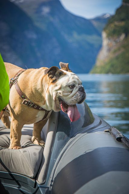 Geiranger: Guided Geirangerfjord Boat Tour - Waterfall Encounters and Scenery
