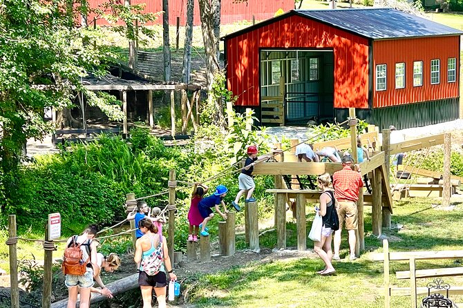 Gem Mining and Goat Farm Walking Tour in Hendersonville - Observing the Aviary