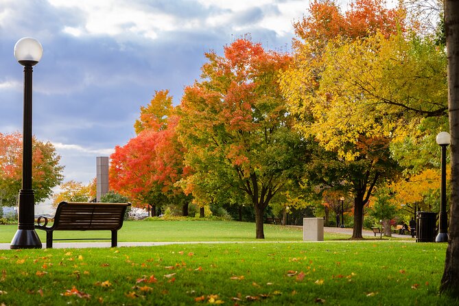 Gems and Surprises – Ottawa Walking Tour - Impressive Art Collection at National Gallery