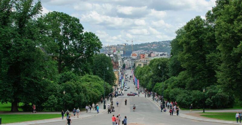 Gems of Central Oslo Private Walking Tour - Landmarks of Interest