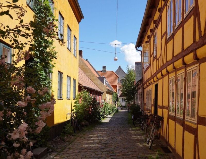 Gems of Helsingør – Private Walking Tour for Couples - Inclusions