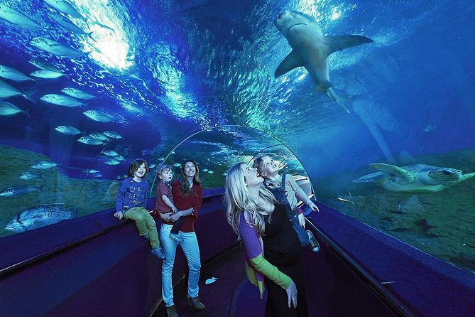 General Admission Entry at AQWA - Guided Tours and Talks