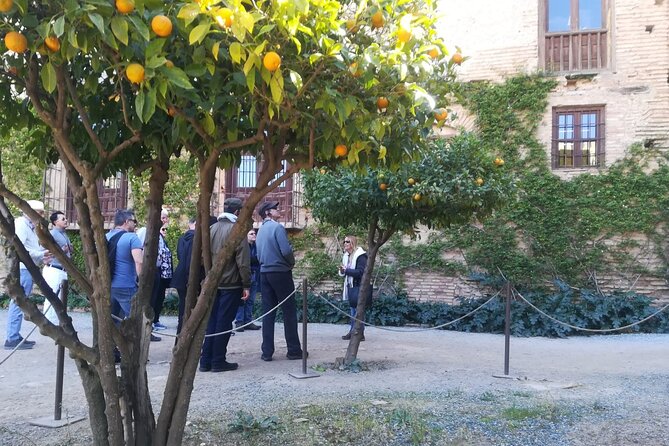 Generalife, Gardens and Alcazaba Guided Tour (Without Nasrid Palaces) - Health and Safety Considerations