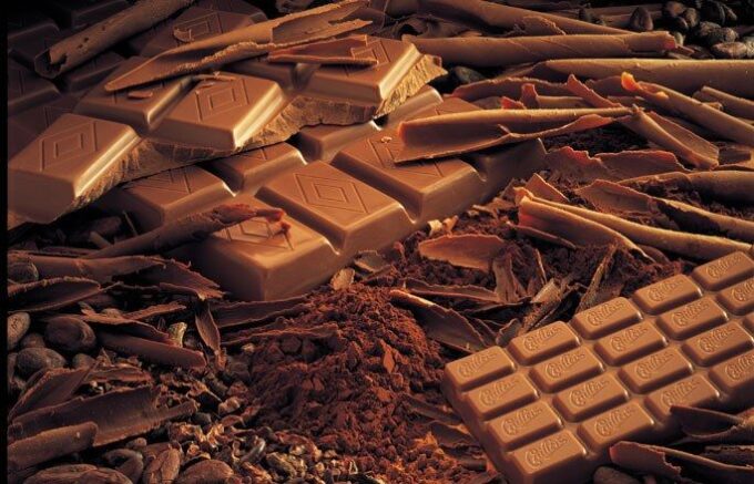 Geneva: Chocolate Tasting & Gruyères Medieval Village Tour - Transportation and Guide Service