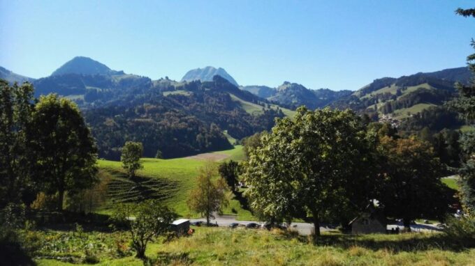 Geneva: Chocolate Tasting & Gruyères Medieval Village Tour - Frequently Asked Questions