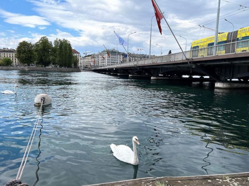 Geneva Complete Tour. Hotel PICK-UP, UN Area & the Old City - Key Points