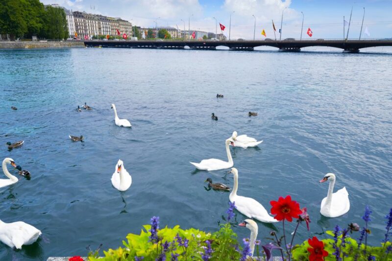 Geneva Highlights Self-Guided Scavenger Hunt and Tour - Flexible Schedule and Itinerary