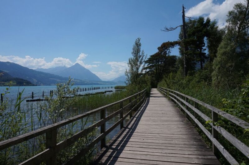 Geneva: Interlaken Day Trip & Visit to Harder Kulm Viewpoint - Booking and Cancellation Policy