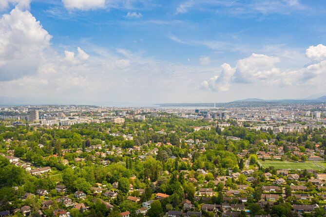 Geneva Like a Local: Customized Private Tour - Convenience and Flexibility