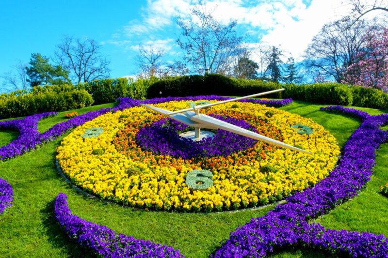 Geneva: Open-Top Sightseeing Bus Tour - Inclusions and Amenities
