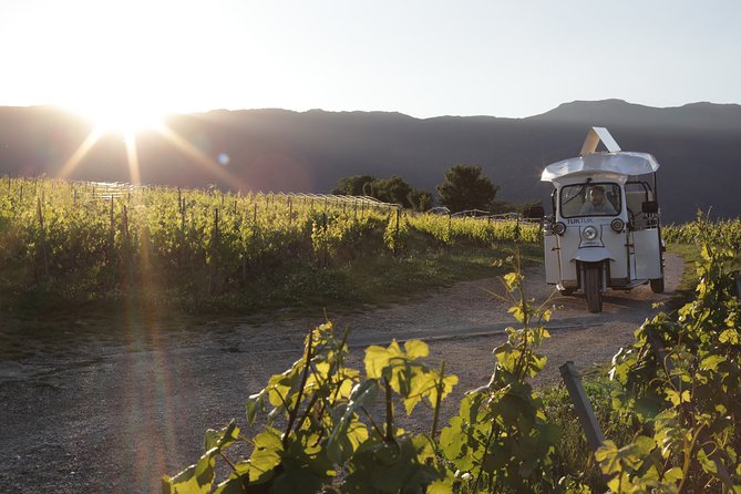 Geneva Panoramic & Tasting Vineyards Tour in an Electric Tuk Tuk - Good To Know