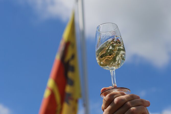 Geneva Panoramic & Tasting Vineyards Tour in an Electric Tuk Tuk - Participant Information