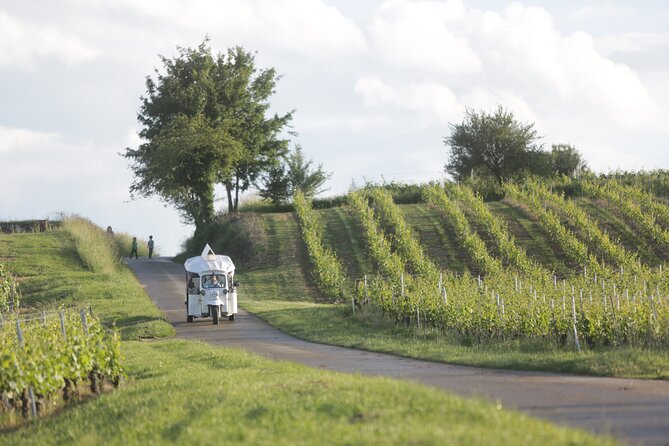Geneva Panoramic & Tasting Vineyards Tour in an Electric Tuk Tuk - Winery Tastings and Pairings