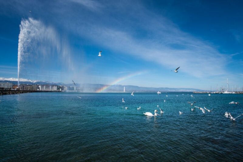 Geneva: Scenic Lake Cruise With Snacks and Wine - Meeting Point and Location Details