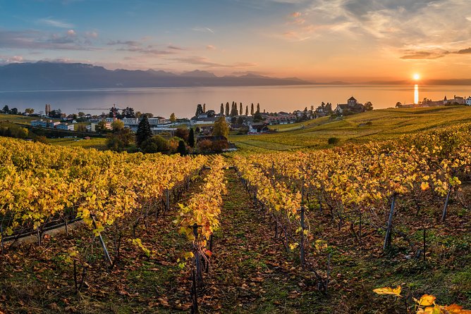 Geneva to Lausanne, Montreux and Château Chillon Private Tour - Frequently Asked Questions