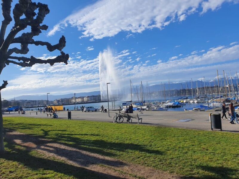 Geneva: United Nations, Old Town and Lake E-Bike Tour - Red Cross Museum