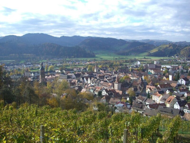 Gengenbach: Private Guided Walking Tour - Key Points