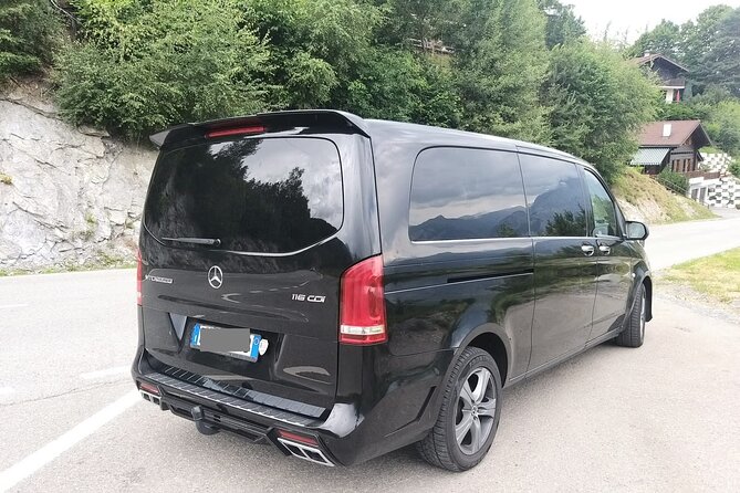 Genoa Airport (GOA) to Genoa - Arrival Private Transfer - Accessibility Information