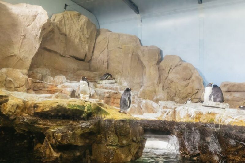 Genoa: Aquarium of Genoa Entry Ticket - Visitor Experience and Amenities