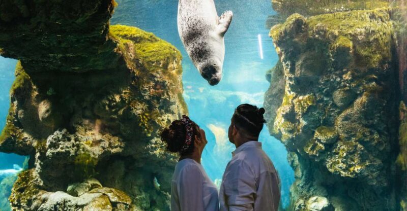 Genoa: Aquarium of Genoa Entry Ticket - Customer Reviews and Ratings