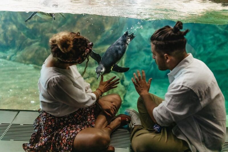 Genoa: Aquarium of Genoa Entry Ticket - Important Visitor Information