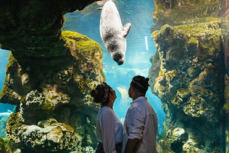 Genoa: Aquarium of Genoa Entry Ticket - Dining Choices at the Aquarium