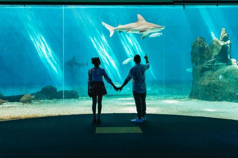 Genoa: Aquarium of Genoa Entry Ticket - Since Your Asked