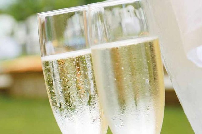 Genoa Day Tour: 4 Hours of Wine Food History and Joy - Traveler Feedback and Reviews