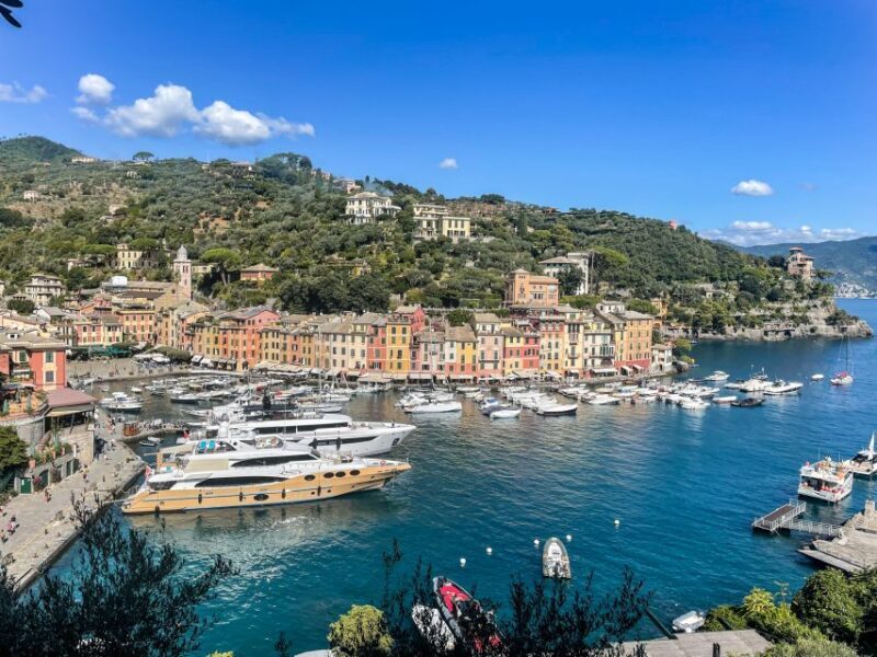 Genoa: Full-Day Tour to Camogli, San Fruttuoso & Portofino - Scenic Views and Wildlife Encounters