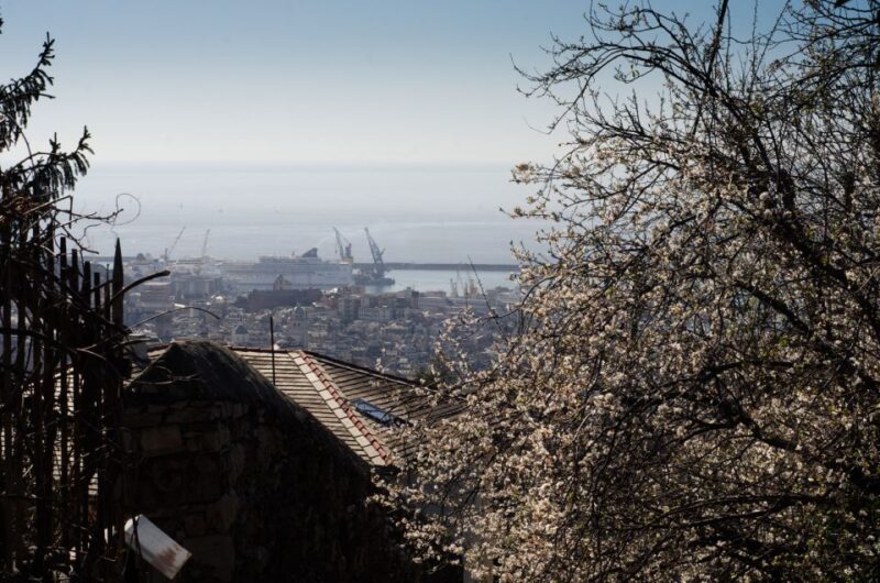 Genoa: Group Walking Photography Tour With Genoese Snack - Personalized Guidance