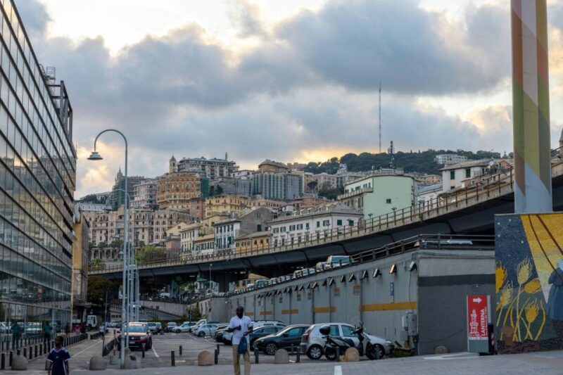 Genoa: Half-Day Guided Walking Tour - Accessibility