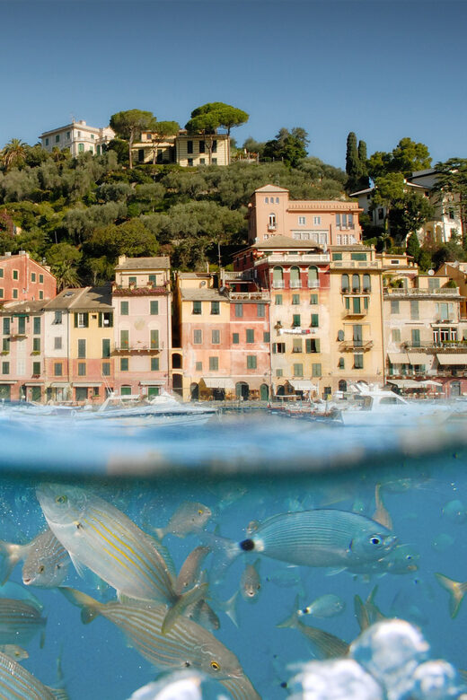 Genoa: Half-Day Tour to Portofino - Tour Overview and Pricing