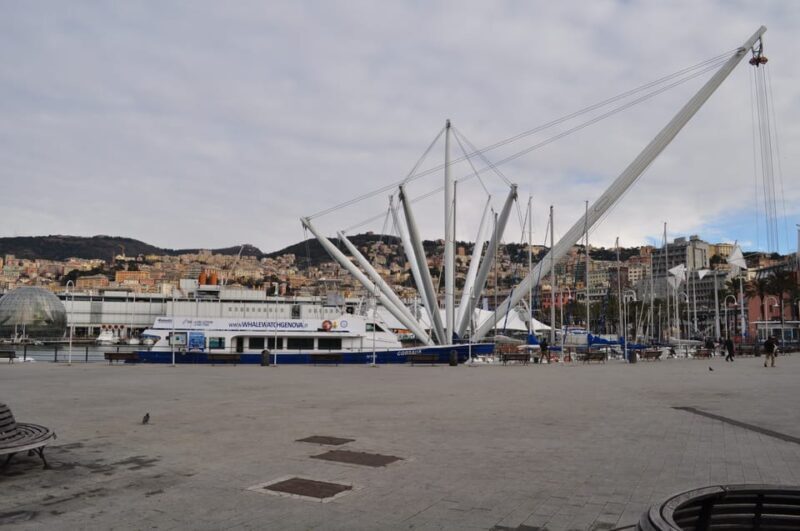 Genoa: Half-Day Tour to Portofino - Customer Reviews and Ratings