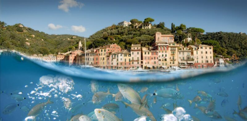 Genoa: Half-Day Tour to Portofino - Important Information