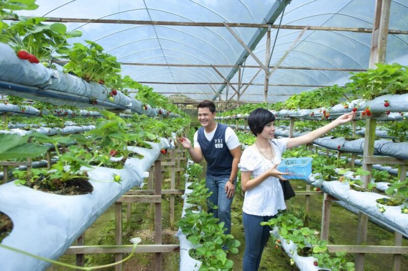 Genting Highland: Private Day Trip From Kuala Lumpur - Genting Highlands Attractions