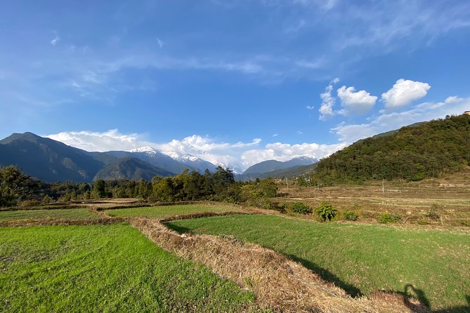 Gentle Walking Tour to Explore Nature in Pokhara - Navigating the Scenic Trails