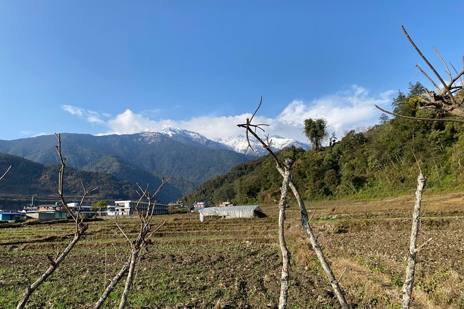 Gentle Walking Tour to Explore Nature in Pokhara - Capturing Memorable Moments