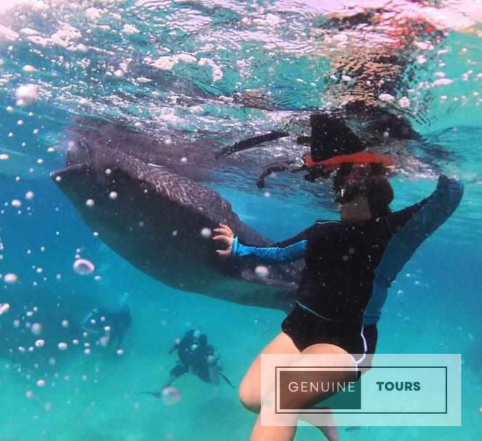 Genuine Tours - OSLOB Snorkeling - Experience Highlights