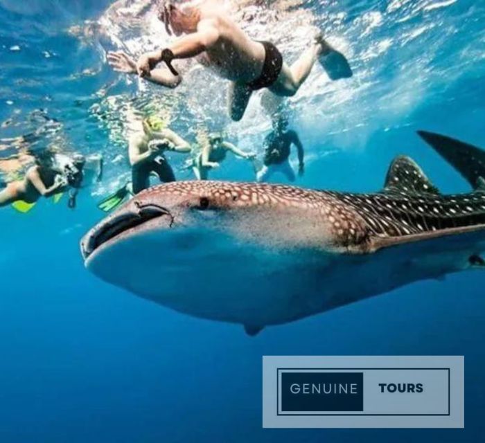 Genuine Tours - OSLOB Snorkeling - Itinerary and Transportation